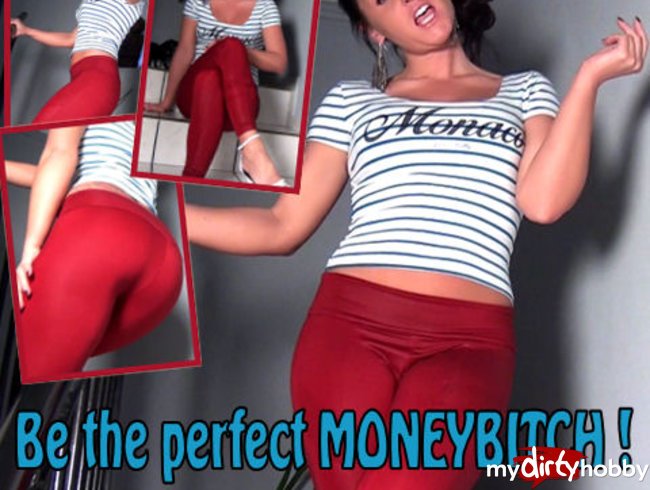 Be the perfect Moneybitch