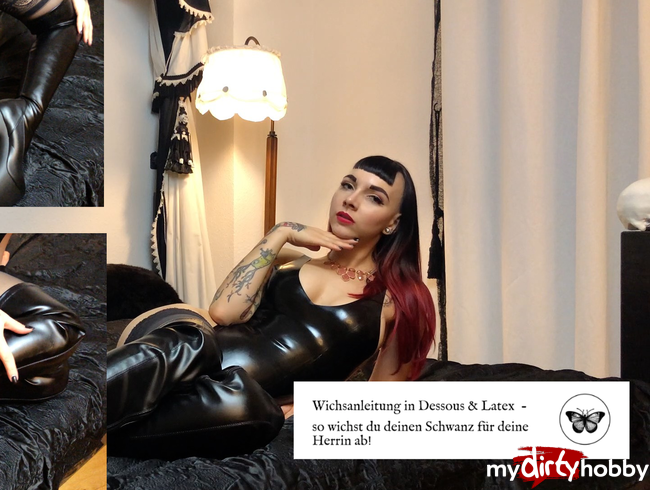 Dominante Wichsanleitung in Latex & Nylons